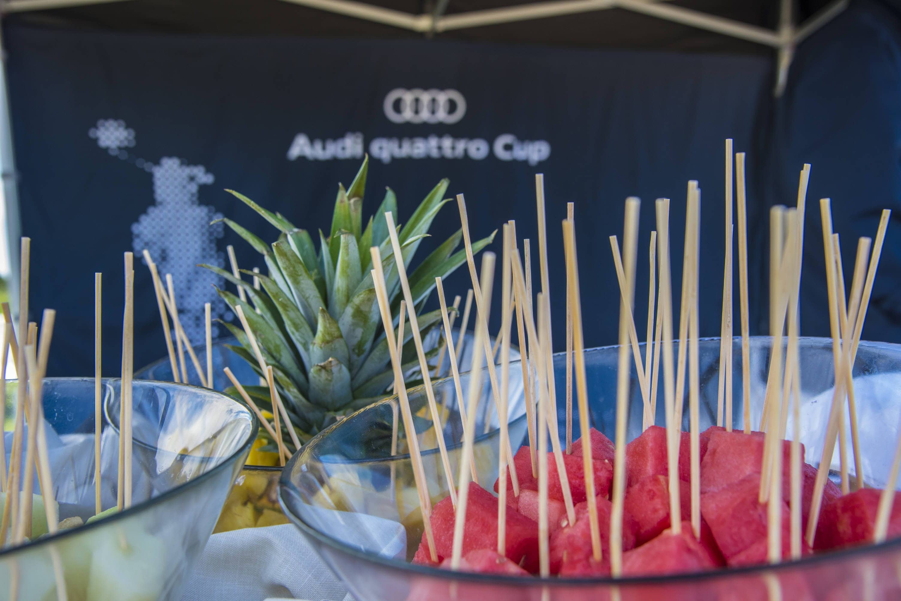 Audi quattro Cup